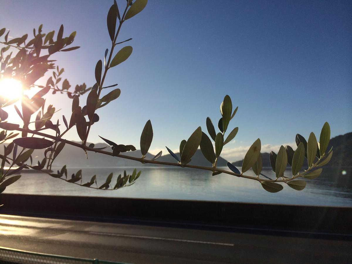 Shodoshima Olive Youth Hostel Bagian luar foto