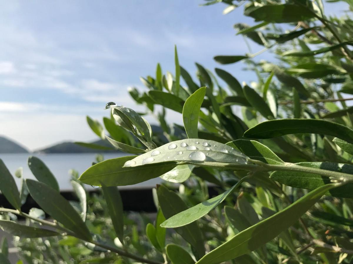 Shodoshima Olive Youth Hostel Bagian luar foto